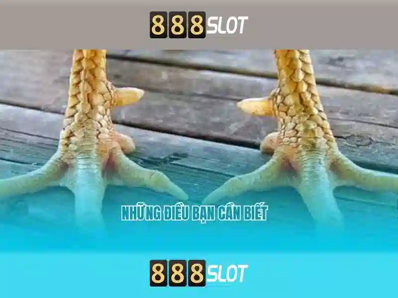 Khuyến mãi đặc biệt cho Barca 888slot