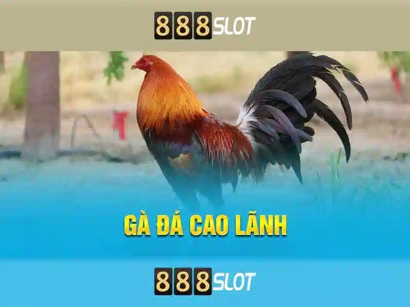 Trải nghiệm game slot tại 888SLOT