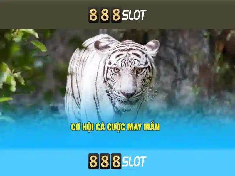 Tại Sao Nên Chọn 888SLOT