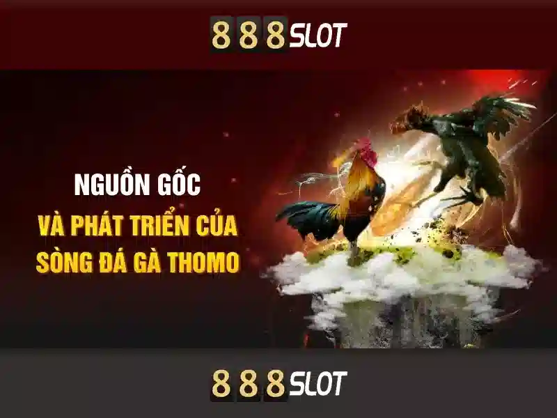 Trải Nghiệm Cá Cược