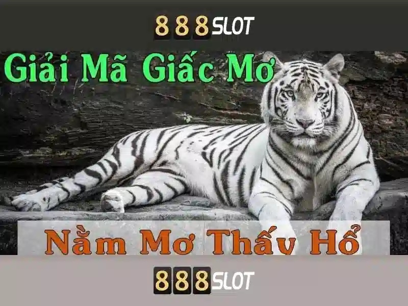 Trải nghiệm Slot 888slot bet