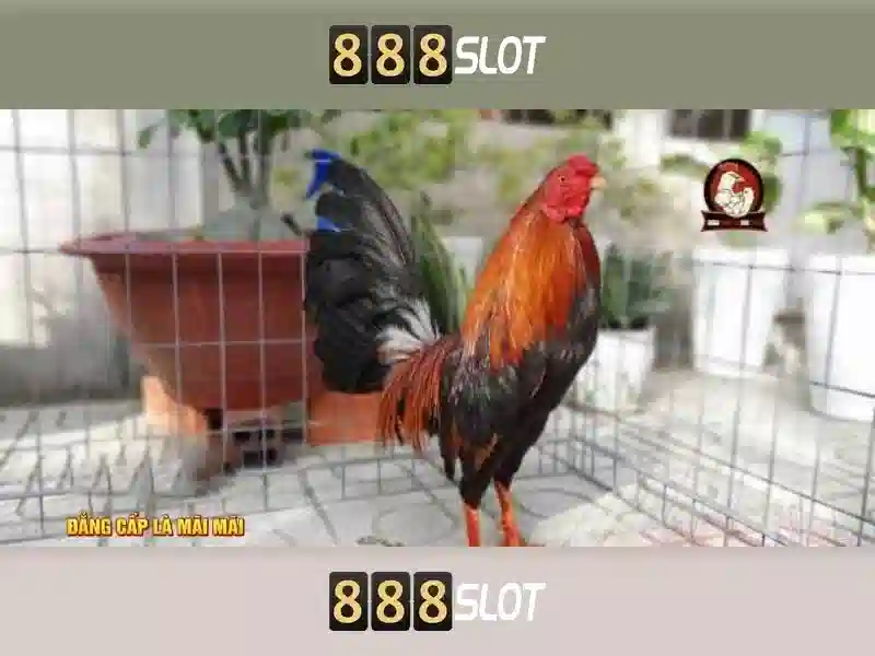 888SLOT – Trang Chủ Slot 888SLOT – Casino, Xổ Số, Thể Thao, Bắn Cá, Nổ Hũ, Game Bài, E-Sports, Slot, 888SLOT