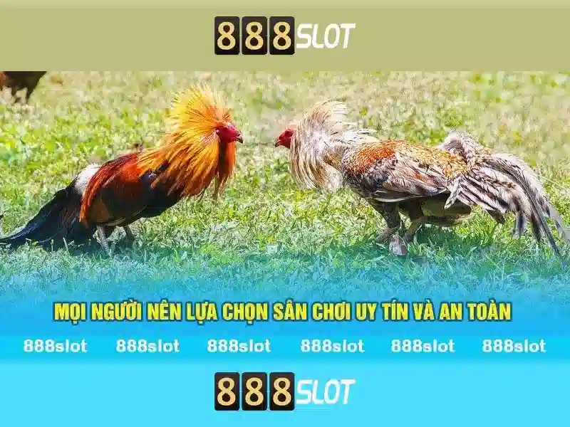 Ưu đãi đăng ký 888slot bet