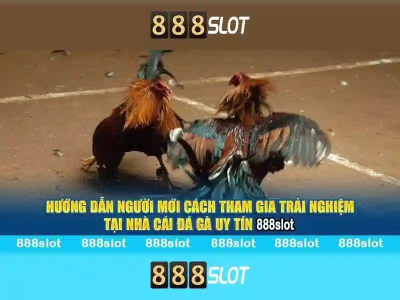 888SLOT – Trang Chủ Chuyên Nghiệp Cho Slot 5 Đỉnh Cao 2026