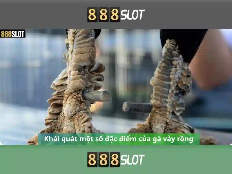Khuyến mãi đặc biệt