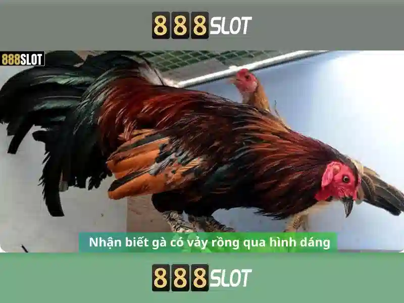 Tải ứng dụng 888SLOT để nhận ưu đãi đặc biệt