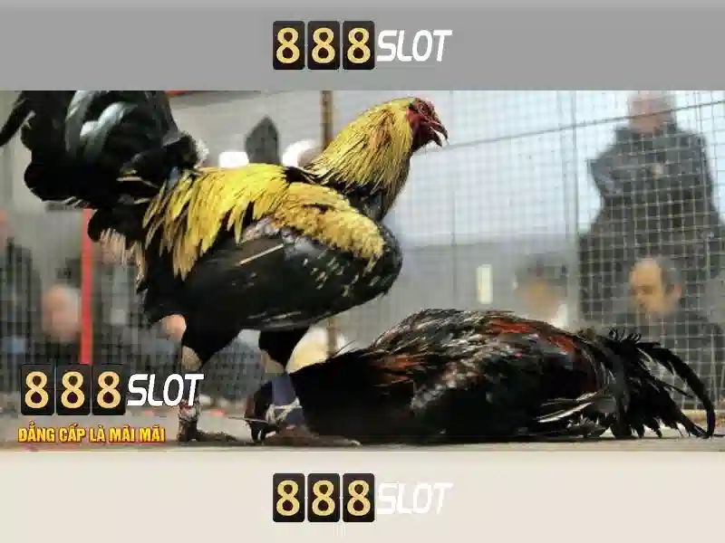 888SLOT – Trang Chủ Chính Thức Không Bị Chặn 2026 | Ưu Đãi 888slot Dewa