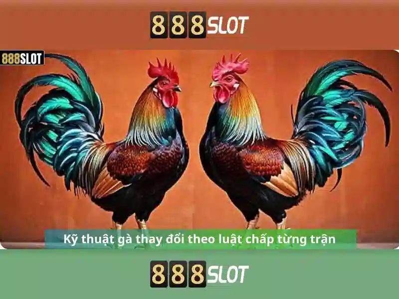 Giới Thiệu Về 888SLOT