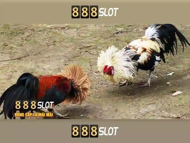 Ưu Đãi Hoàn Trả 888SLOT