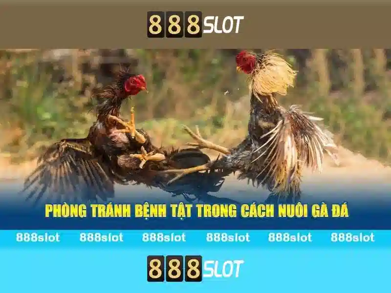 Trải nghiệm slot 888SLOT