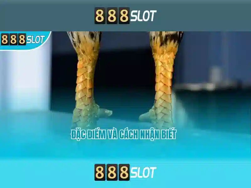 Hướng dẫn đăng ký tài khoản 888slot