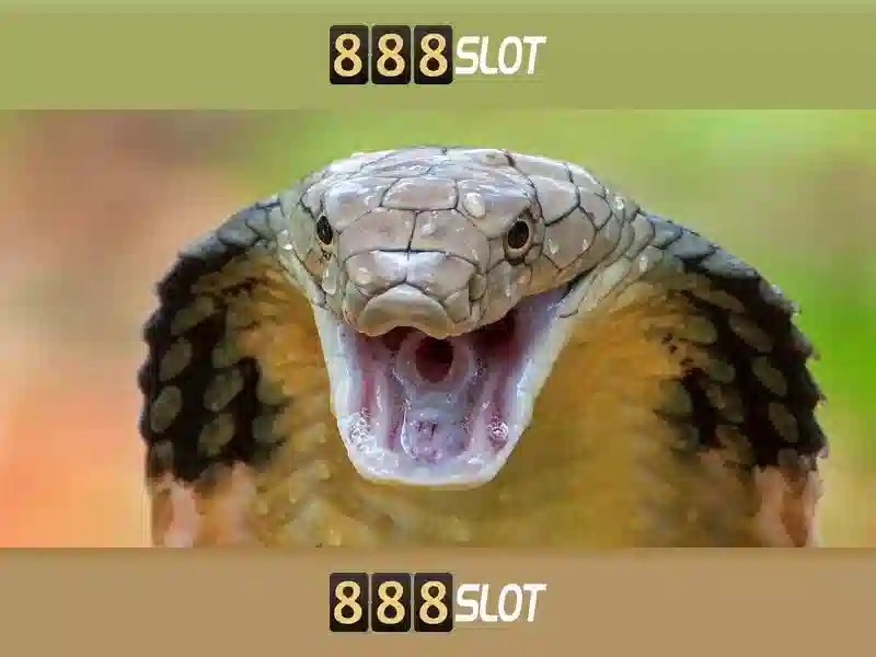 Đa Dạng Trò Chơi Slot 888SLOT
