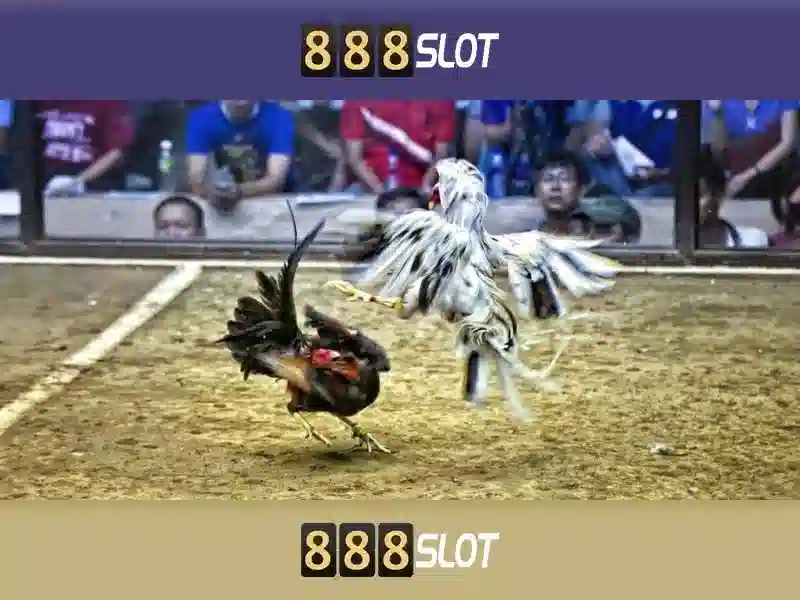 888SLOT – Mã Nhận Thưởng 888Slot | Trải Nghiệm Slot Đỉnh Cao 2026