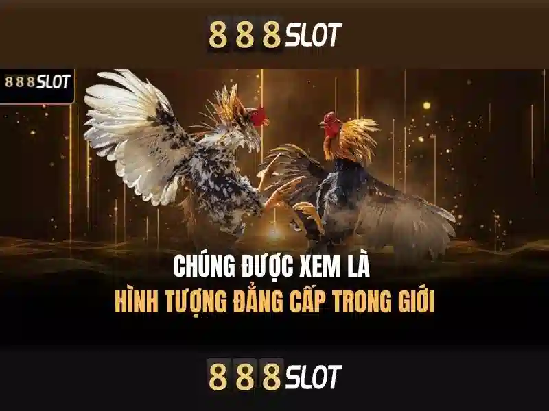 Trải Nghiệm Chơi Slot Tối Ưu
