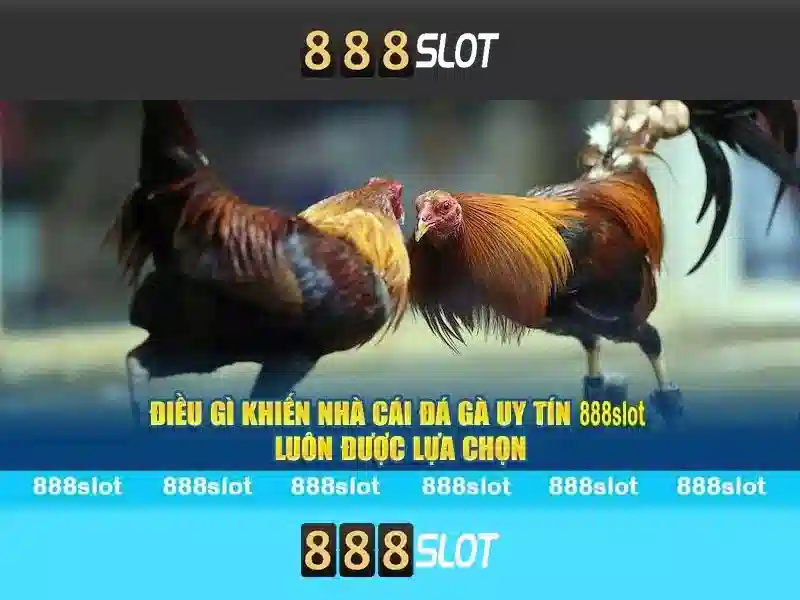 Ưu Điểm Slot 2026