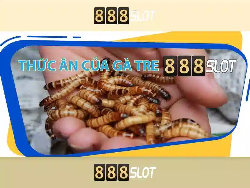 888SLOT - Trải Nghiệm Cá Cược Đỉnh Cao Với Casino Trực Tuyến Đa Dạng