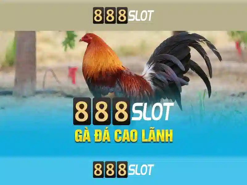 Ưu Đãi Độc Quyền