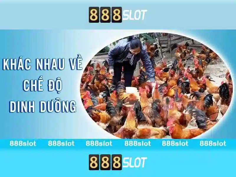 Bảo Mật Tài Khoản 888SLOT