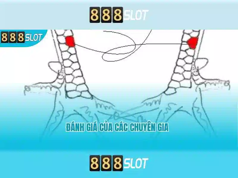 888SLOT – Trang Chủ 888SLOT – Casino, Xổ Số, Thể Thao, Bắn Cá, Nổ Hũ, Slot, Game Bài, E-sports, Casino Trực Tuyến, Slot Online, Game Slot, Slot 888SLOT, Slot Online 888SLOT