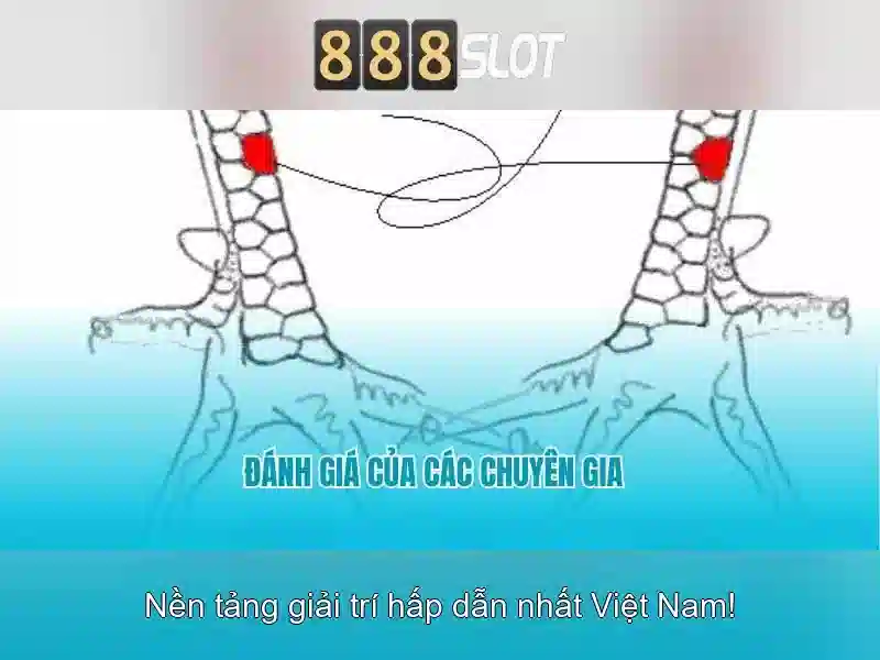 888SLOT – Trang Chủ 888SLOT | Đăng Ký | Nạp Tiền | Rút Tiền | Tải App | Hướng Dẫn