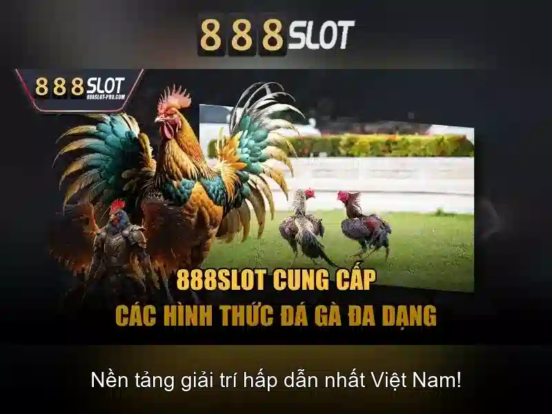 Hệ Thống Sảnh Chơi Đa Dạng