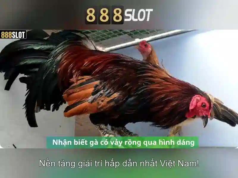 Giới Thiệu Về 888slot App