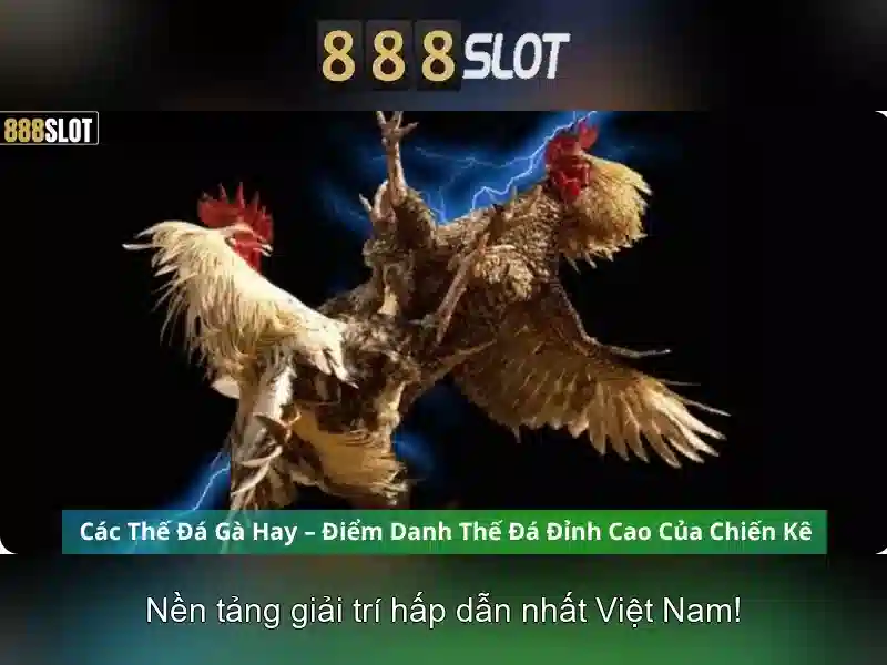 888slot poker – Trải Nghiệm Độc Quyền Với Các Trò Chơi Slot