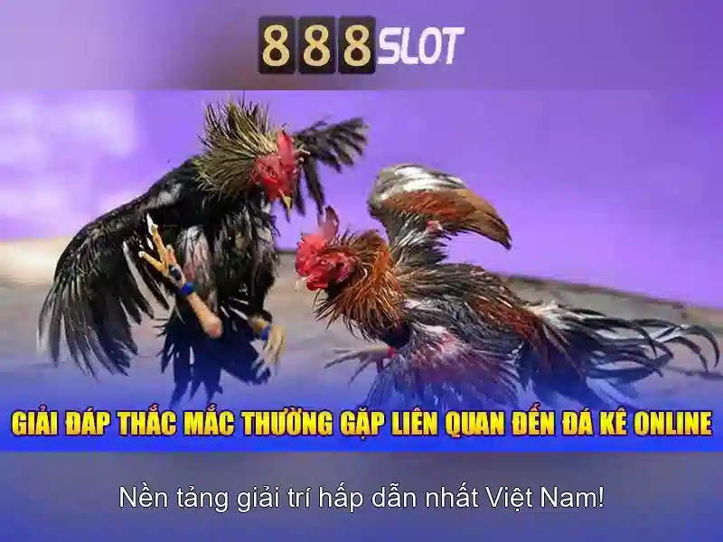 888SLOT - Trải Nghiệm Slot Mới Nhất Với RTP Cao 2026