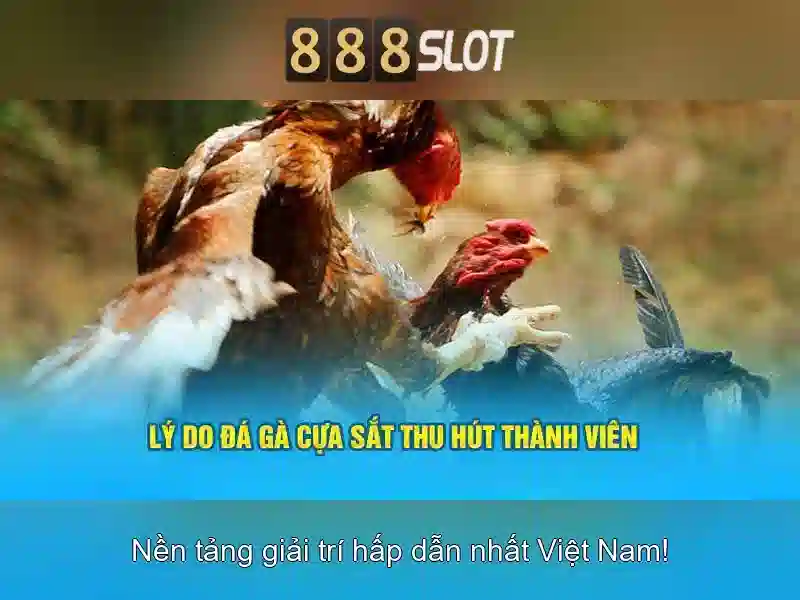 Tối Ưu Hóa Kinh Nghiệm Chơi Slot