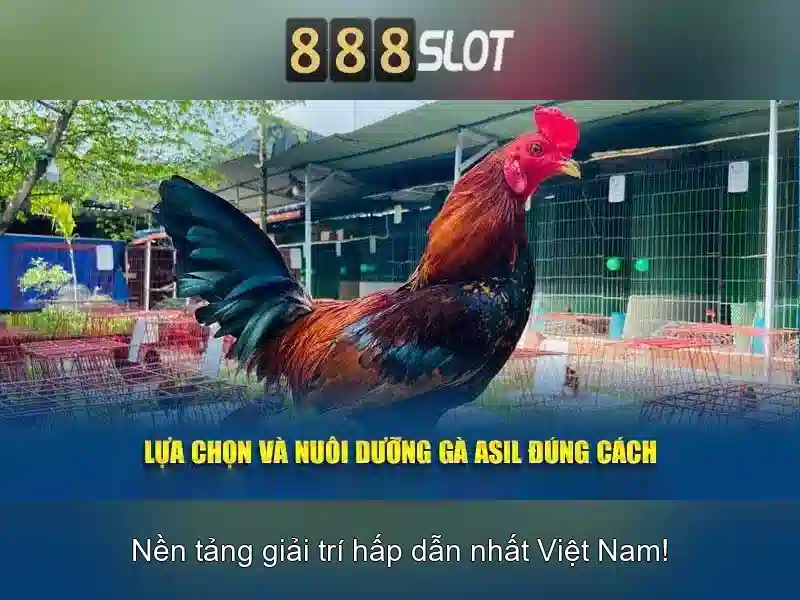Đăng Ký Tham Gia 888SLOT