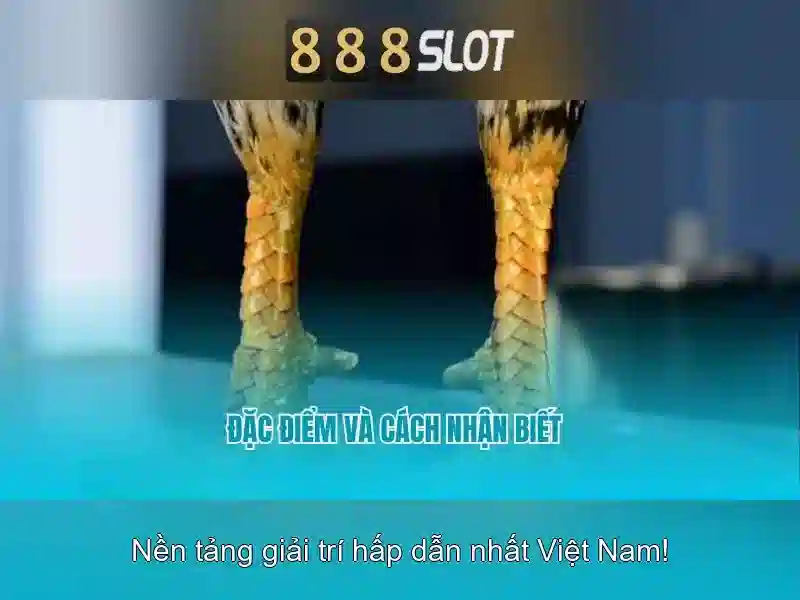 Trải nghiệm game slot đỉnh cao 2026