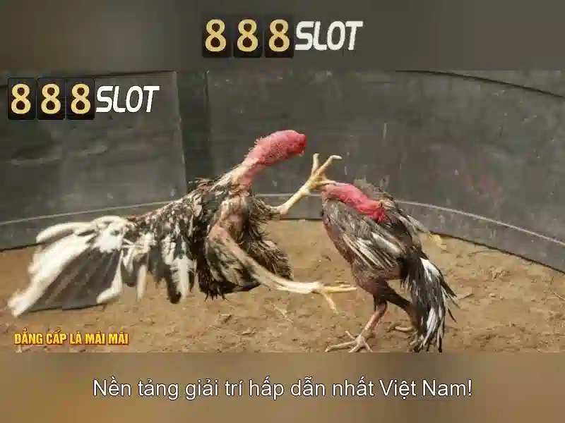 Trải nghiệm SLOT đỉnh cao