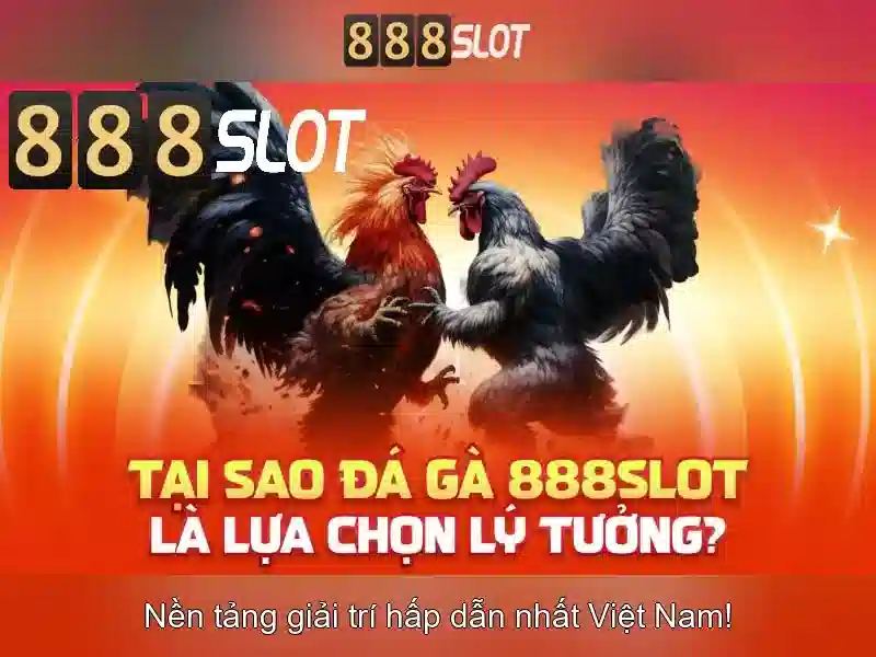 Đặc điểm nổi bật